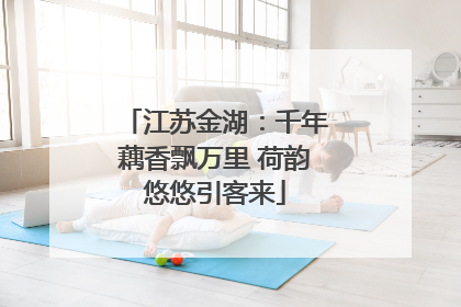 江苏金湖：千年藕香飘万里 荷韵悠悠引客来