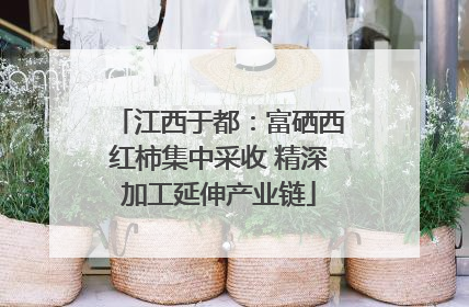 江西于都：富硒西红柿集中采收 精深加工延伸产业链