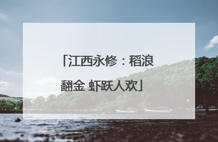 江西永修：稻浪翻金 虾跃人欢