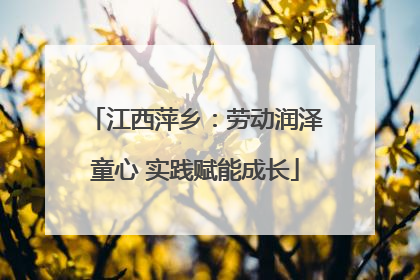 江西萍乡：劳动润泽童心 实践赋能成长
