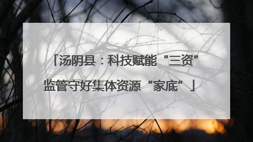 汤阴县：科技赋能“三资”监管守好集体资源“家底”
