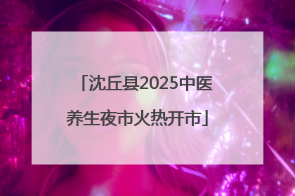 沈丘县2025中医养生夜市火热开市