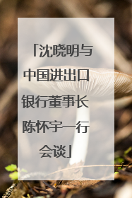 沈晓明与中国进出口银行董事长陈怀宇一行会谈