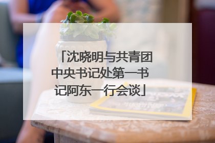 沈晓明与共青团中央书记处第一书记阿东一行会谈