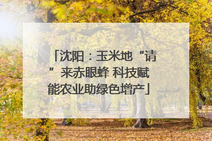 沈阳：玉米地“请”来赤眼蜂 科技赋能农业助绿色增产