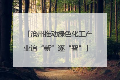 沧州推动绿色化工产业追“新”逐“智”