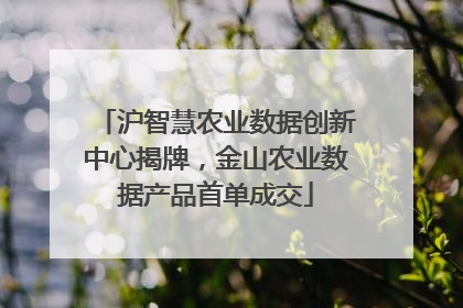 沪智慧农业数据创新中心揭牌，金山农业数据产品首单成交