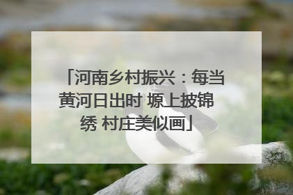 河南乡村振兴：每当黄河日出时 塬上披锦绣 村庄美似画