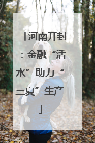 河南开封：金融“活水”助力“三夏”生产