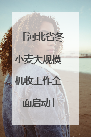 河北省冬小麦大规模机收工作全面启动