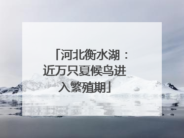 河北衡水湖：近万只夏候鸟进入繁殖期