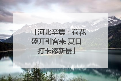 河北辛集：荷花盛开引客来 夏日打卡添新景