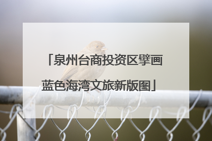 泉州台商投资区擘画蓝色海湾文旅新版图