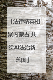 法律精英相聚内蒙古 共绘AI法治新蓝图