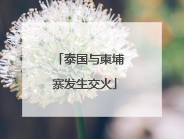 泰国与柬埔寨发生交火