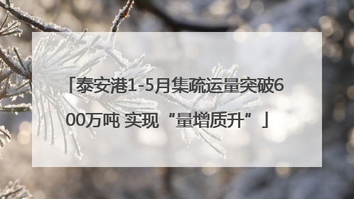 泰安港1-5月集疏运量突破600万吨 实现“量增质升”