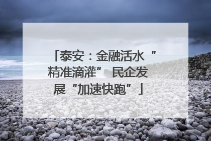 泰安：金融活水“精准滴灌” 民企发展“加速快跑”