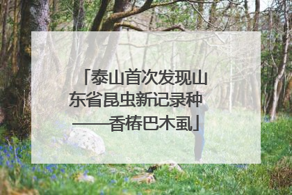 泰山首次发现山东省昆虫新记录种——香椿巴木虱
