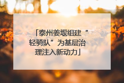 泰州姜堰组建“轻骑队”为基层治理注入新动力