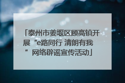 泰州市姜堰区顾高镇开展“e路同行 清朗有我”网络辟谣宣传活动