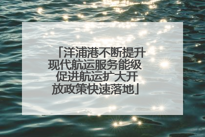洋浦港不断提升现代航运服务能级 促进航运扩大开放政策快速落地