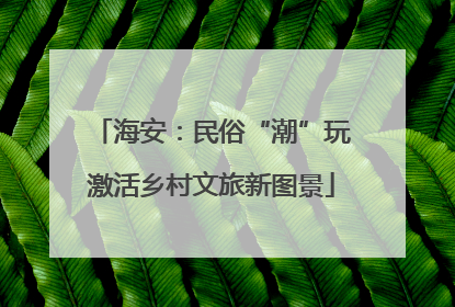 海安：民俗“潮”玩激活乡村文旅新图景