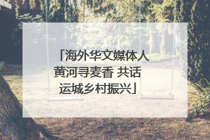 海外华文媒体人黄河寻麦香 共话运城乡村振兴