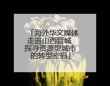 海外华文媒体走进山西晋城 探寻资源型城市的转型密码