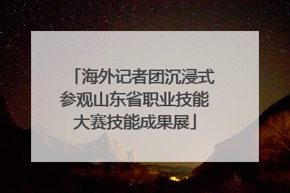 海外记者团沉浸式参观山东省职业技能大赛技能成果展