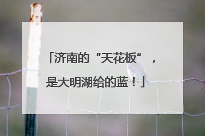 济南的“天花板”，是大明湖给的蓝！