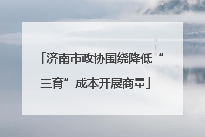 济南市政协围绕降低“三育”成本开展商量