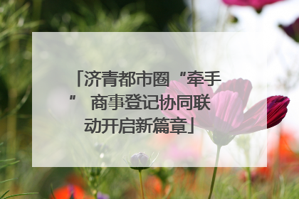济青都市圈“牵手” 商事登记协同联动开启新篇章