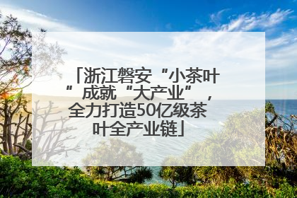 浙江磐安“小茶叶”成就“大产业”，全力打造50亿级茶叶全产业链
