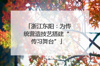 浙江东阳：为传统营造技艺搭建“传习舞台”