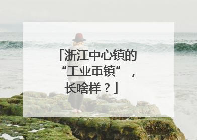 浙江中心镇的“工业重镇”，长啥样？