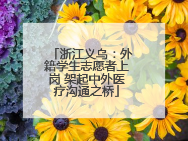 浙江义乌：外籍学生志愿者上岗 架起中外医疗沟通之桥