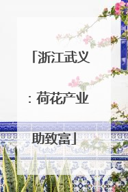 浙江武义：荷花产业助致富