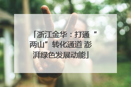 浙江金华：打通“两山”转化通道 澎湃绿色发展动能