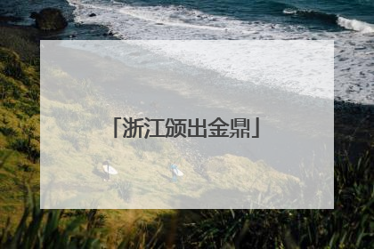 浙江颁出金鼎