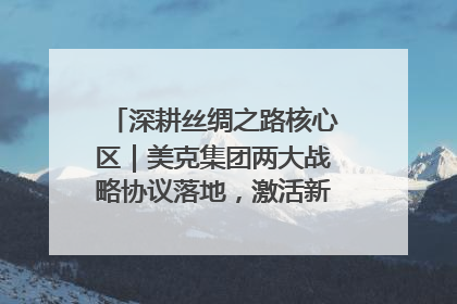 深耕丝绸之路核心区｜美克集团两大战略协议落地，激活新疆开放新动能