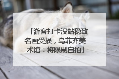 游客打卡没站稳致名画受损，乌菲齐美术馆：将限制自拍