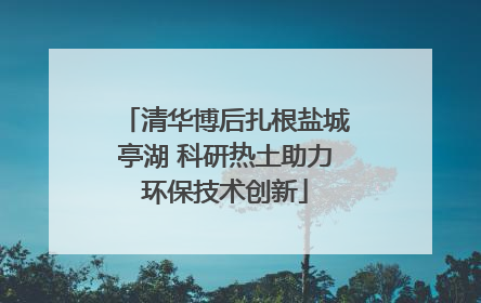 清华博后扎根盐城亭湖 科研热土助力环保技术创新