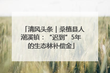 清风头条｜桑植县人潮溪镇：“迟到”5年的生态林补偿金