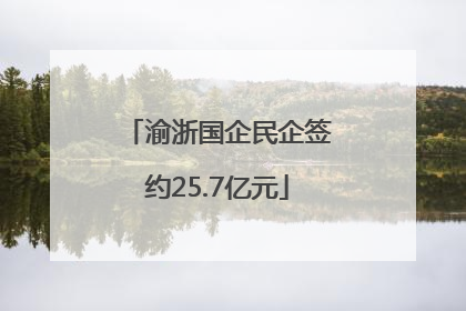 渝浙国企民企签约25.7亿元