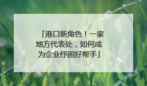 港口新角色！一家地方代表处，如何成为企业纾困好帮手