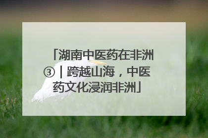 湖南中医药在非洲③｜跨越山海，中医药文化浸润非洲