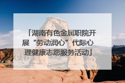 湖南有色金属职院开展“劳动润心”代际心理健康志愿服务活动