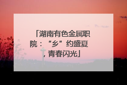 湖南有色金属职院：“乡”约盛夏，青春闪光