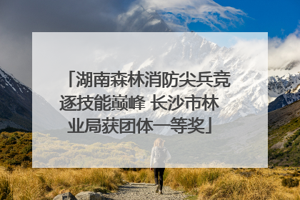 湖南森林消防尖兵竞逐技能巅峰 长沙市林业局获团体一等奖