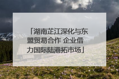 湖南芷江深化与东盟贸易合作 企业借力国际陆港拓市场